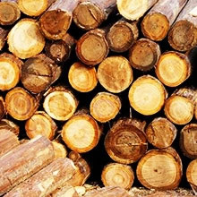 Línea para producción de pellets
